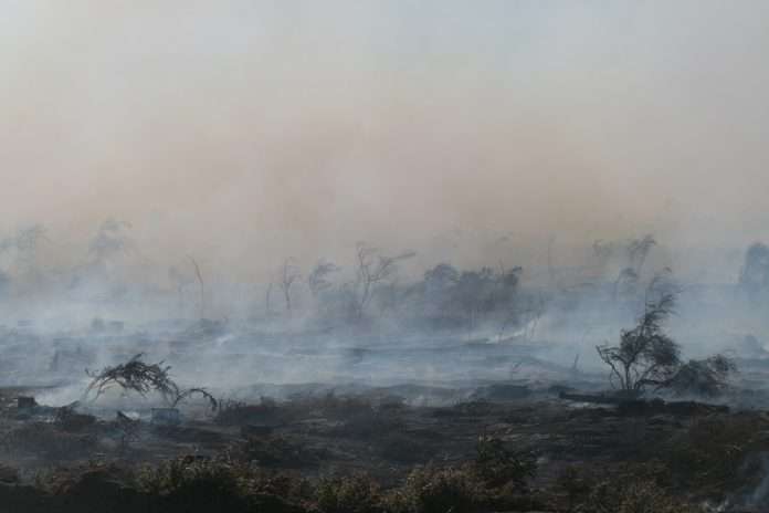 Bushfire