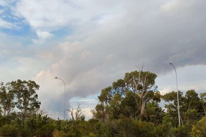 BushfirePic3a