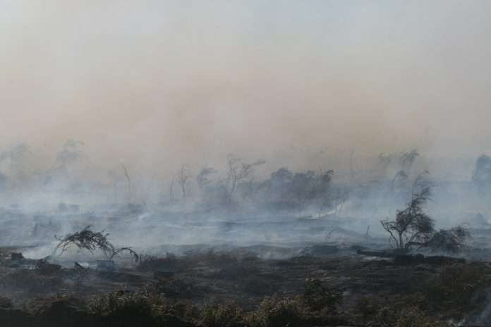 Bushfire