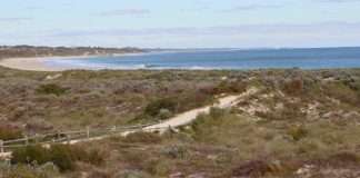 Community consultation on Wanneroo dog beaches to start soon