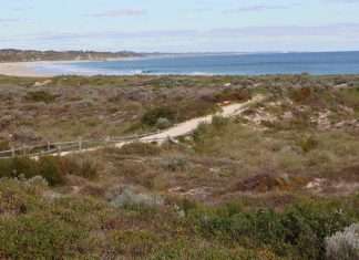 Community consultation on Wanneroo dog beaches to start soon