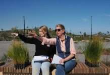 First Y-Local Yanchep Farmers Market – Letter to the Editor